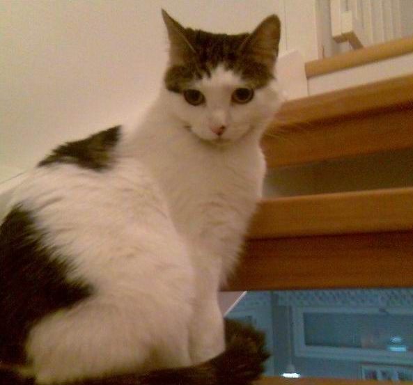 ��������jj6696