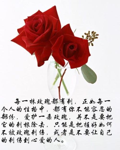 �¸绪(Vancouver)����man