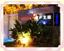 ������Ƭ