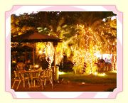 ������Ƭ