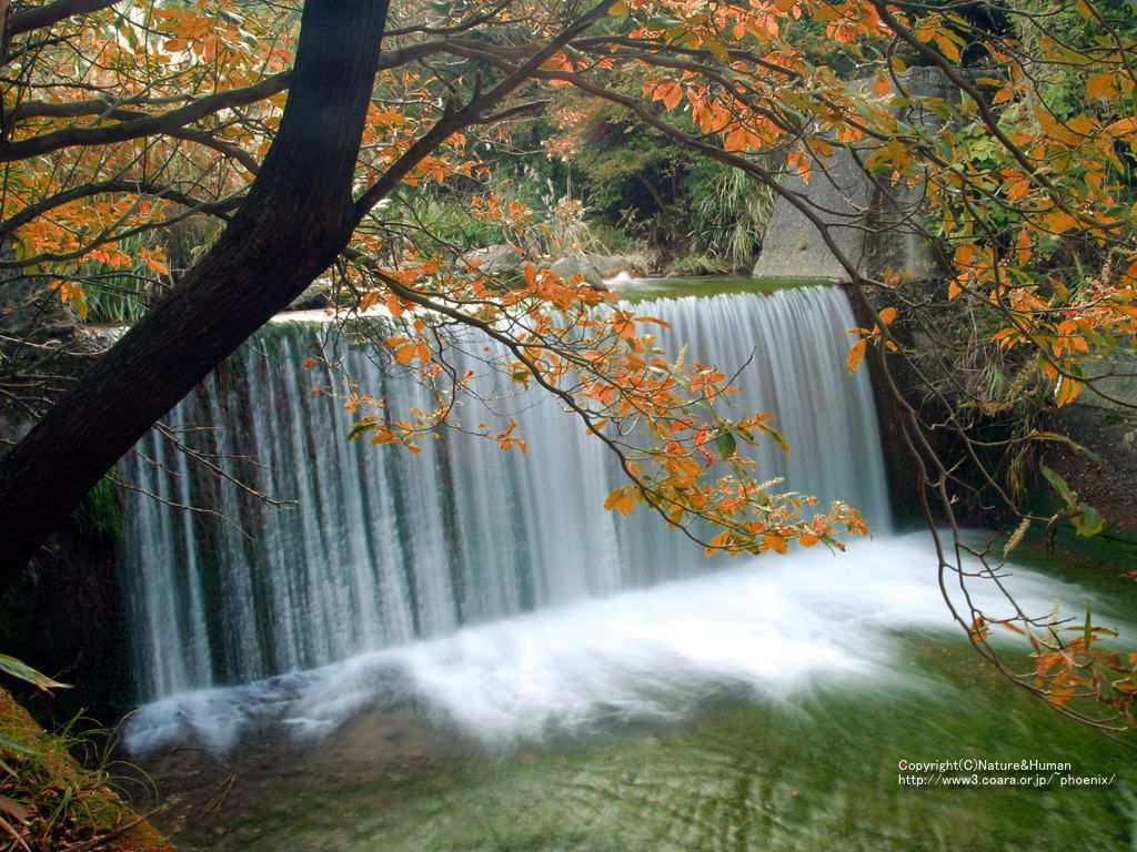 ������Ƭ