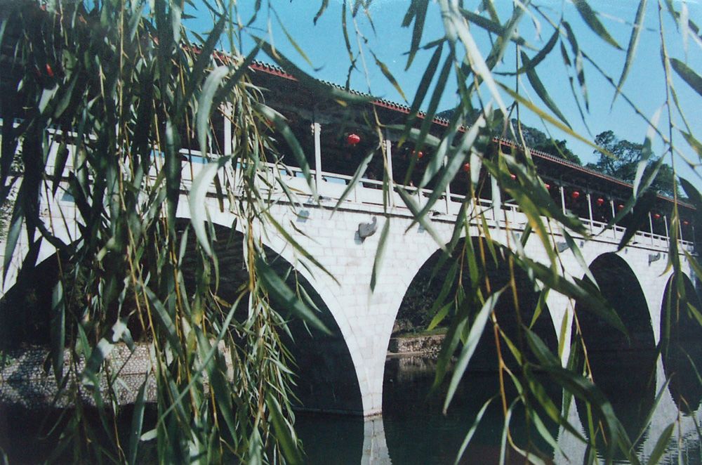 ������Ƭ