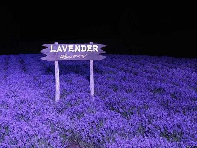 Ƭ