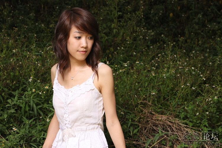 ������Ƭ