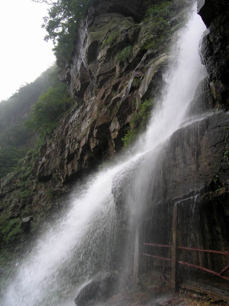 ������Ƭ