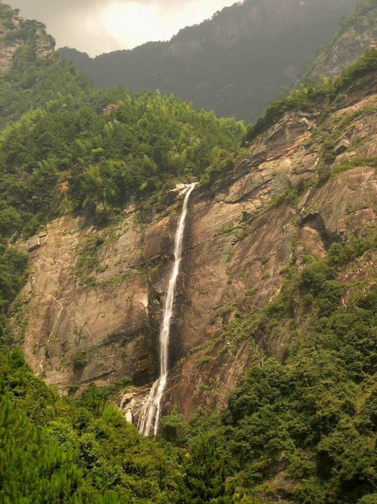 ������Ƭ