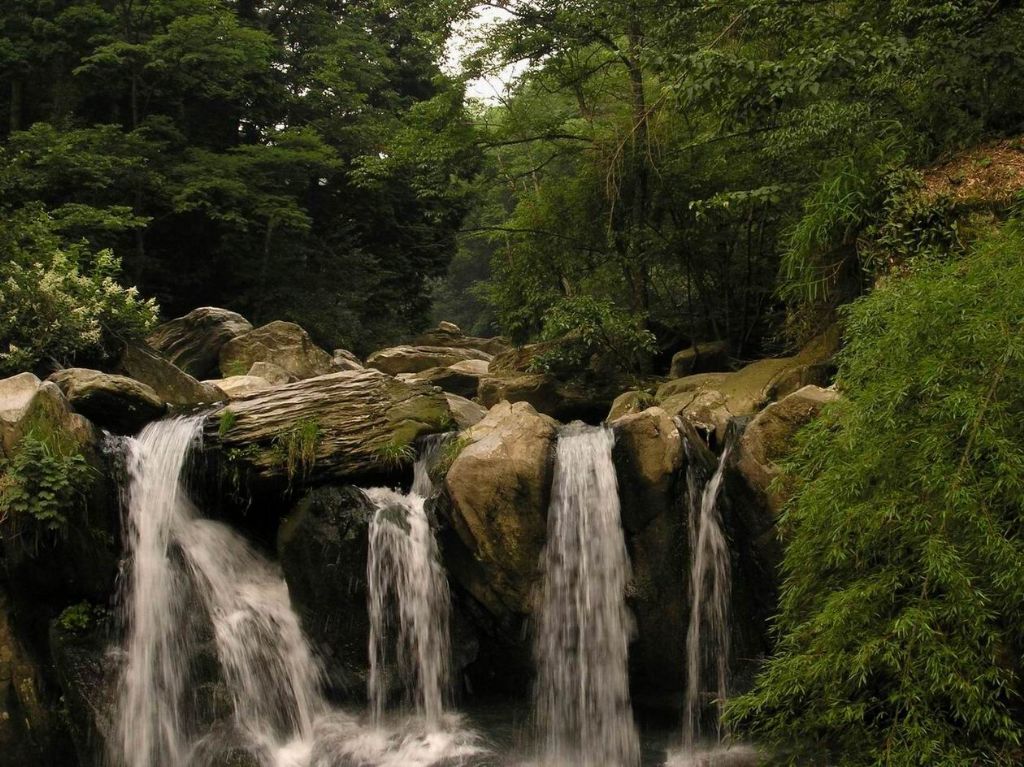 �ϲ���������