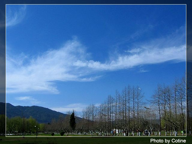 �ϲ���������