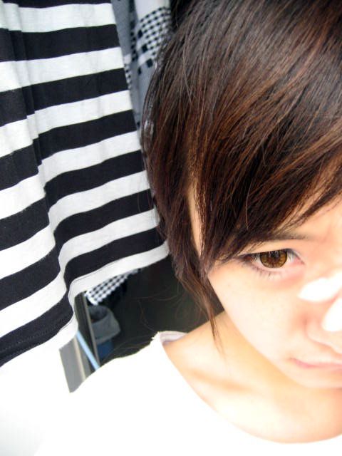 ������Ƭ