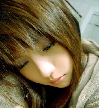 ������Ƭ