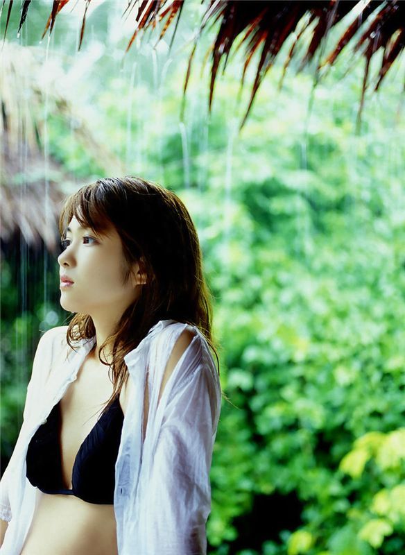 ������Ƭ