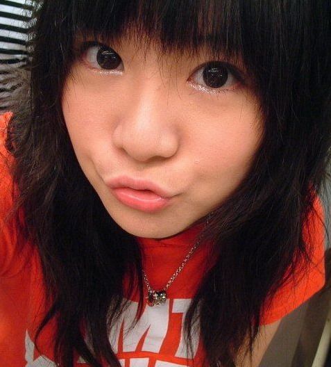 ������Ƭ