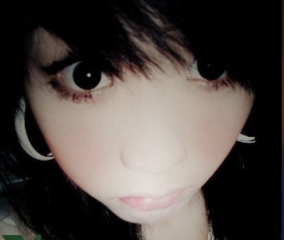 ������Ƭ