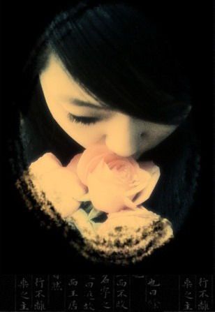 ������Ƭ