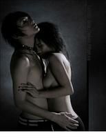 ������Ƭ