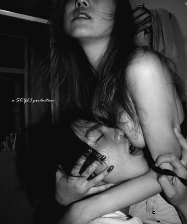 ������Ƭ