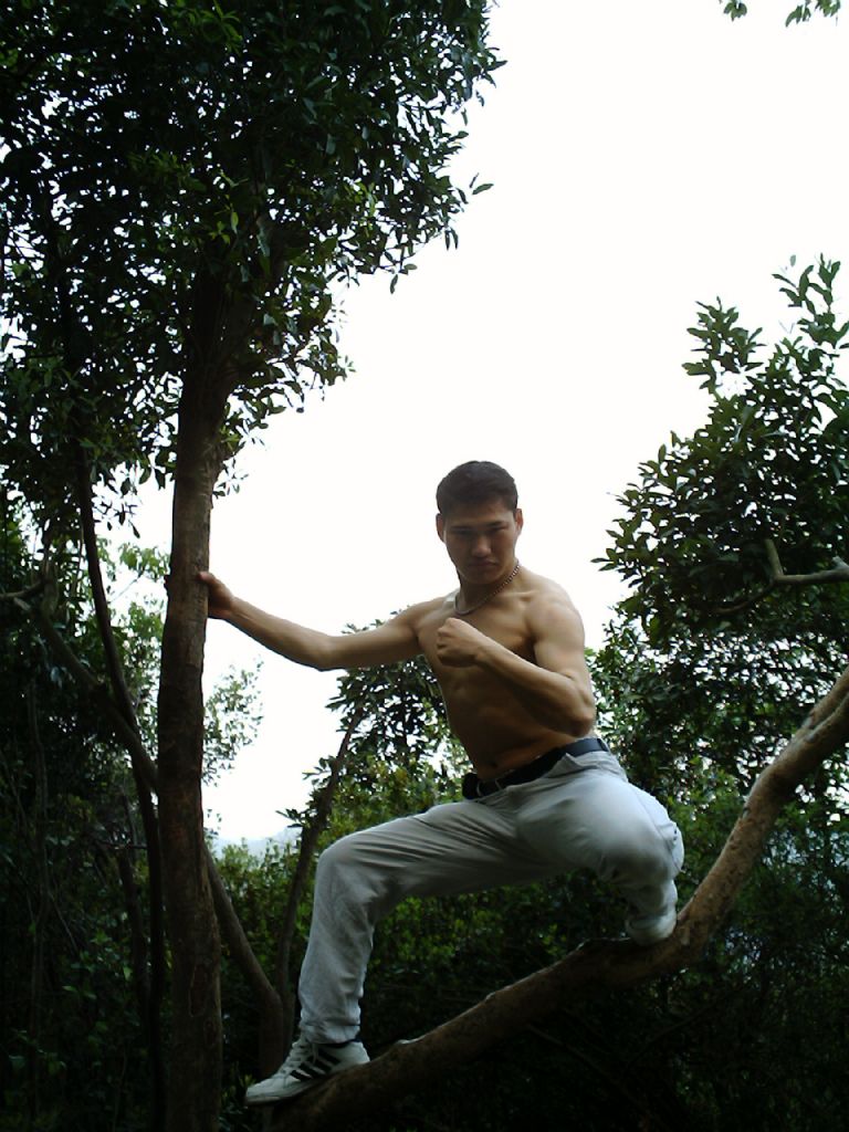 ���ڰ���һ������