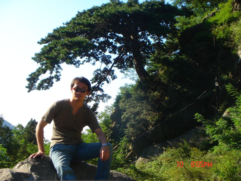 ������Ƭ