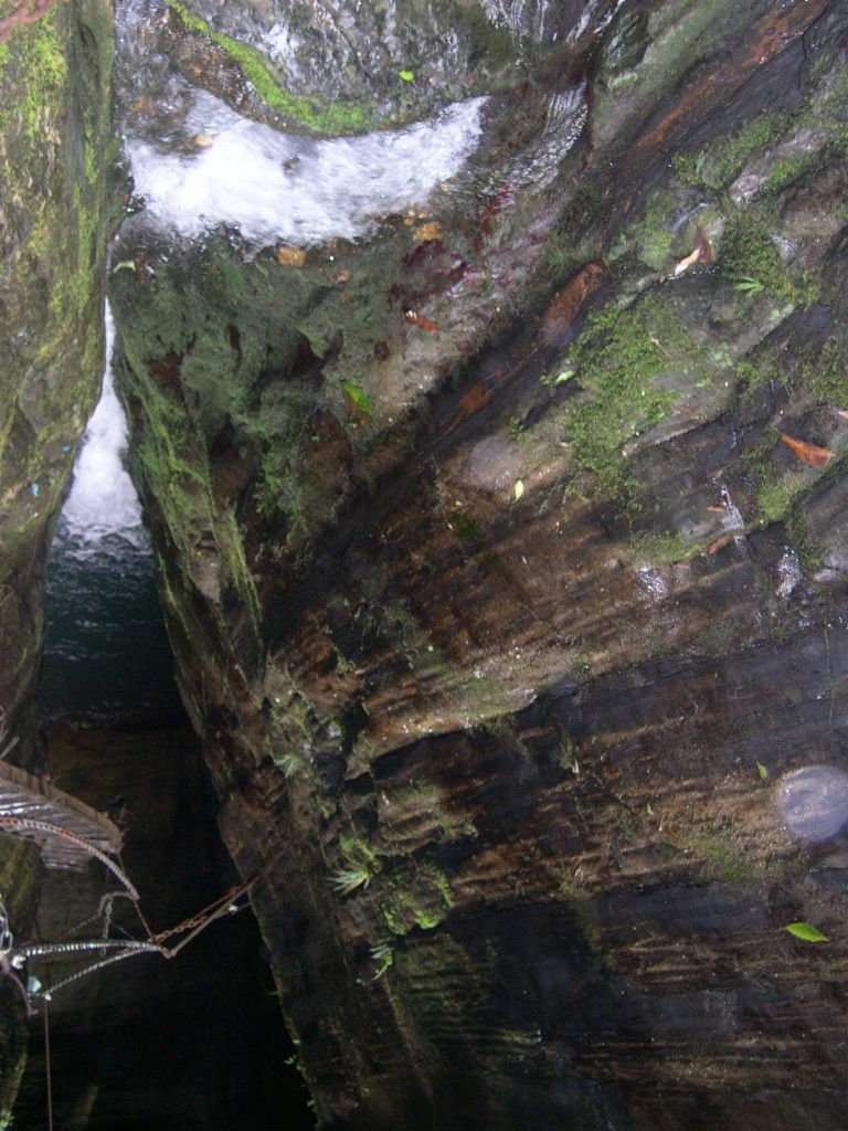 ������Ƭ