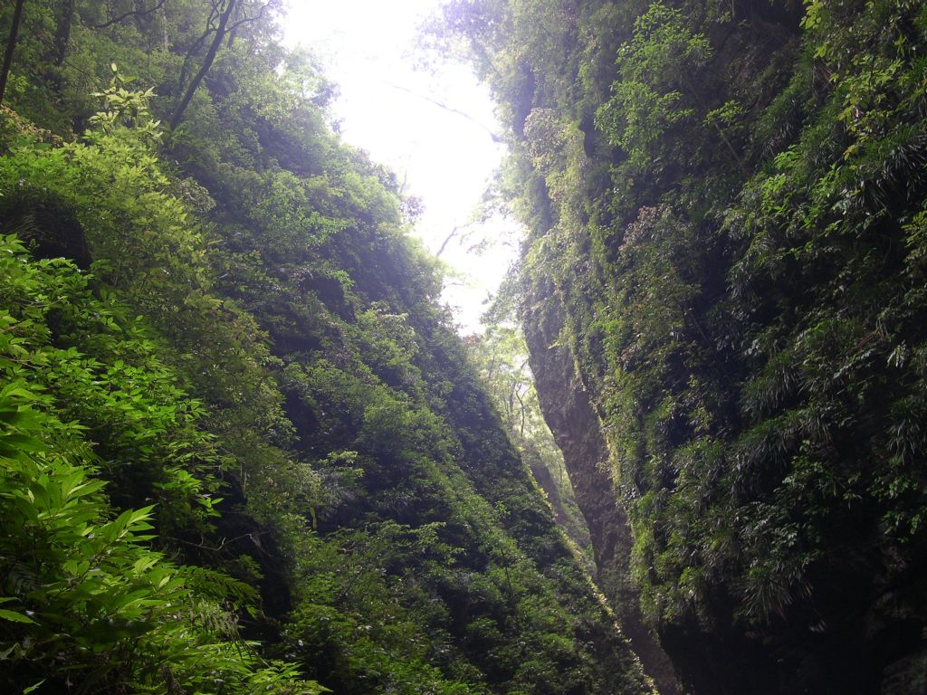 ������Ƭ