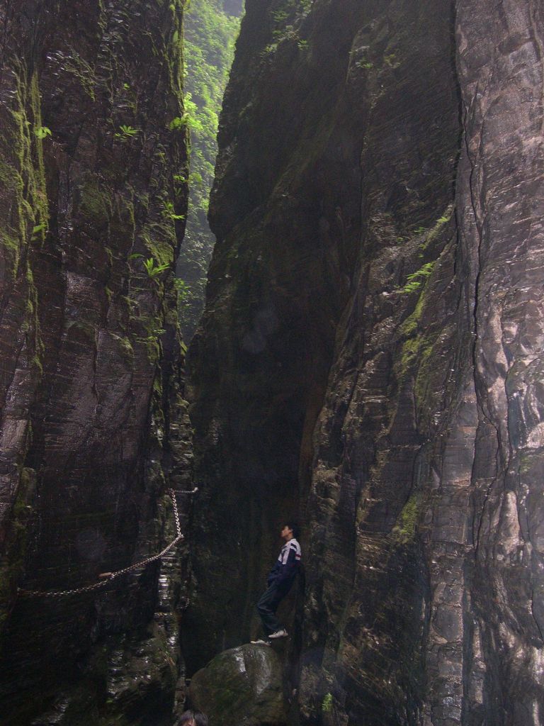 ��ɳ������������