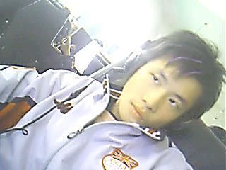 ������Ƭ