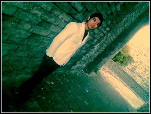 ������Ƭ