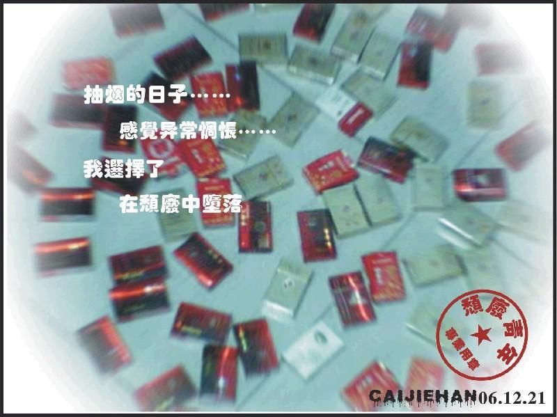 ��ݸ���κ�