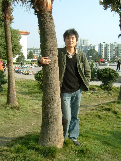 ������Ƭ