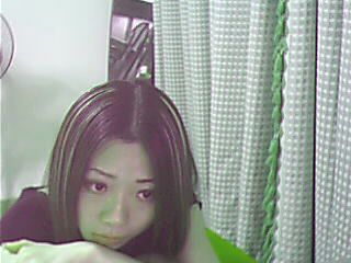 ������Ƭ