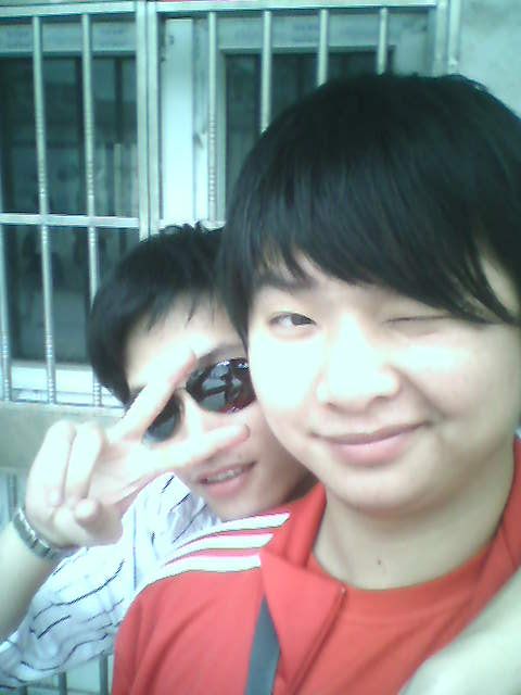 ������Ƭ