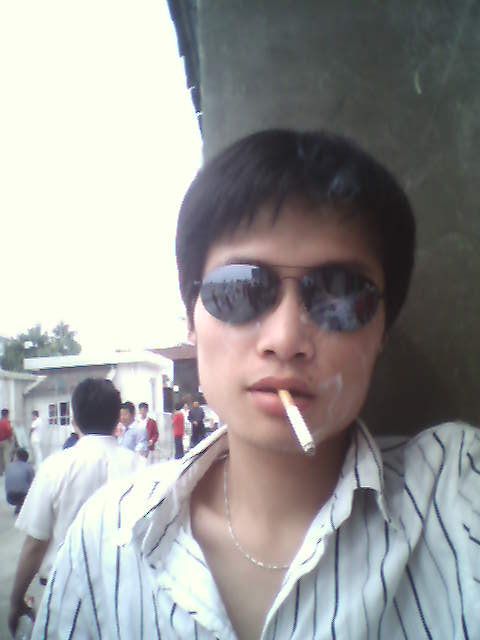 ������Ƭ