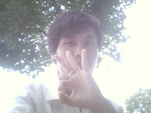 ������Ƭ