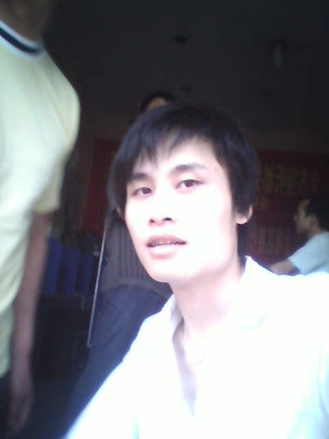 ������Ƭ