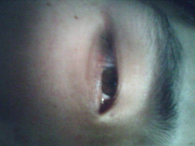 ���ݰ�����һ