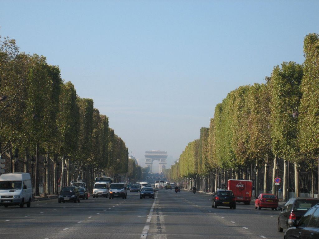 ������Ƭ