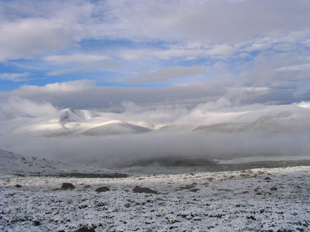 �Ϻ�����happylee