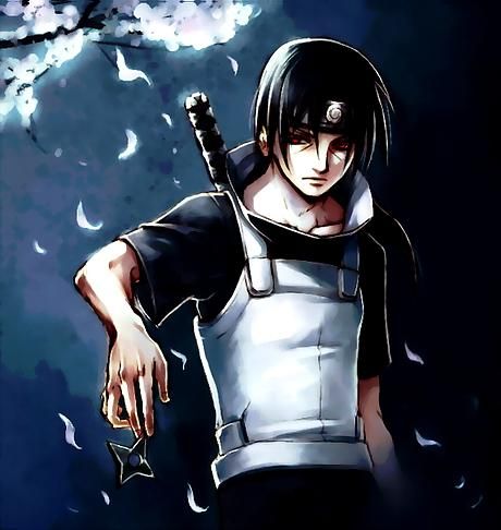 ������Ƭ