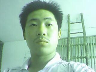 ������Ƭ