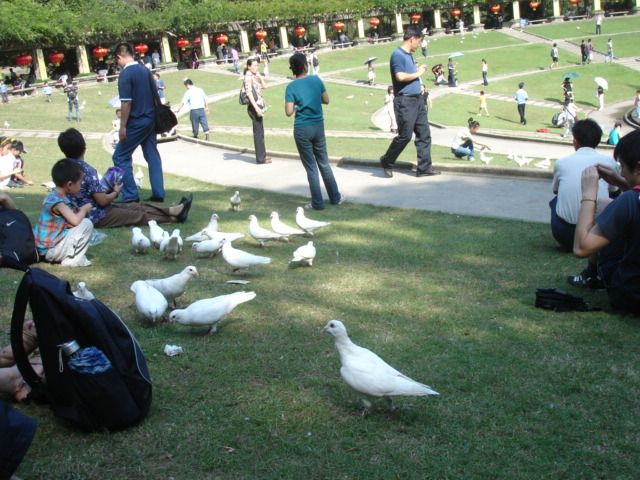 ���ڰ��Ψ{��ߨT��һ��й���