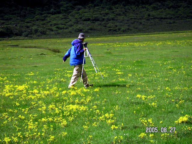 ����������λ켣����