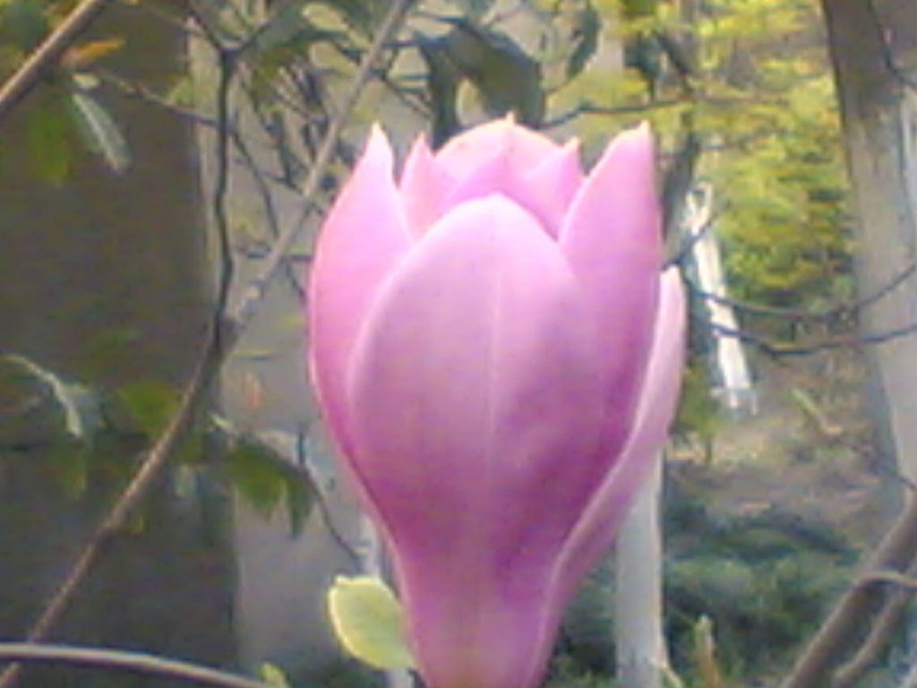 ���ݰ���Ӣ������