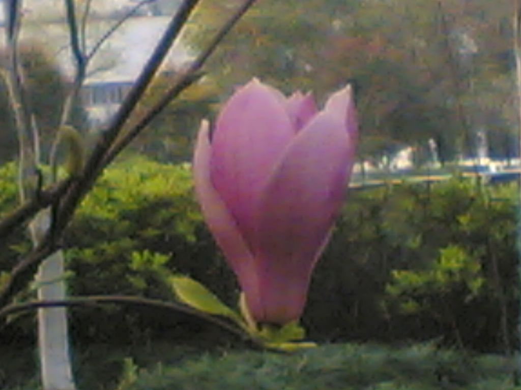 ���ݰ���Ӣ������