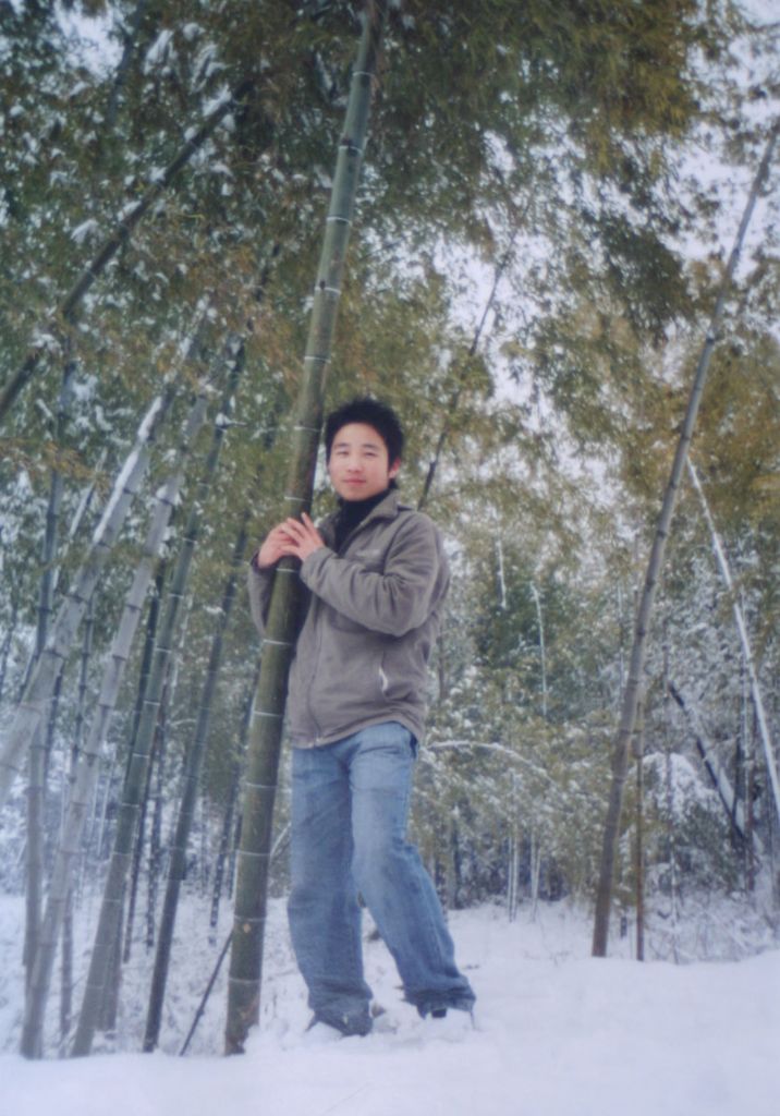 ������Ƭ