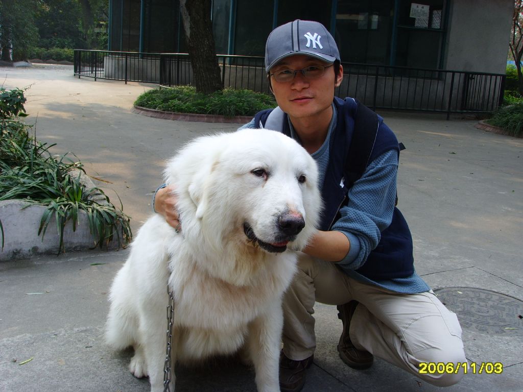 ������Ƭ