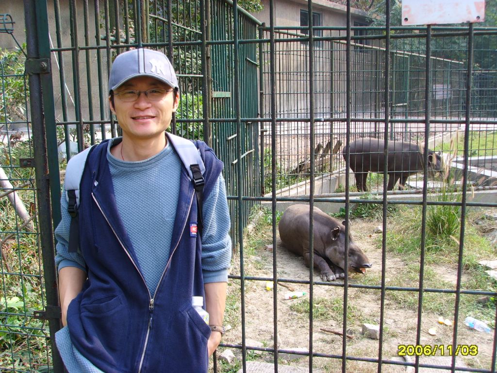 ������Ƭ