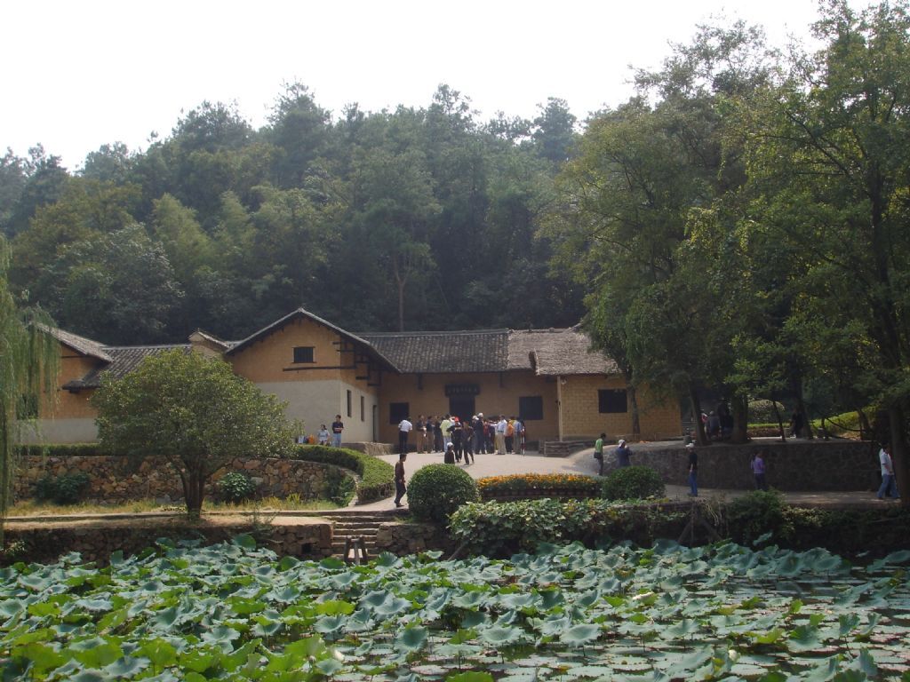 ������Ƭ