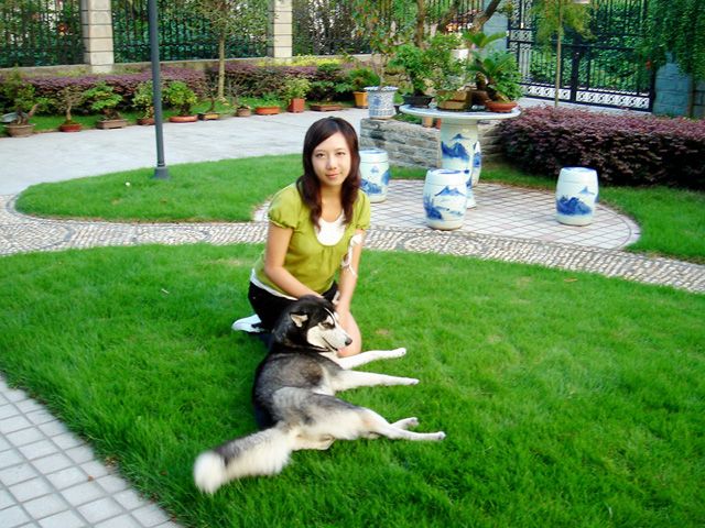 ��������δ��