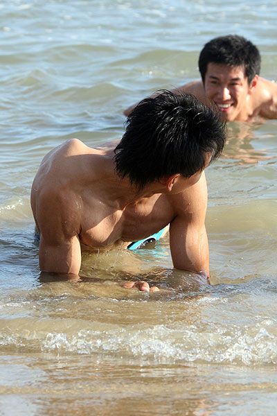 ������Ƭ