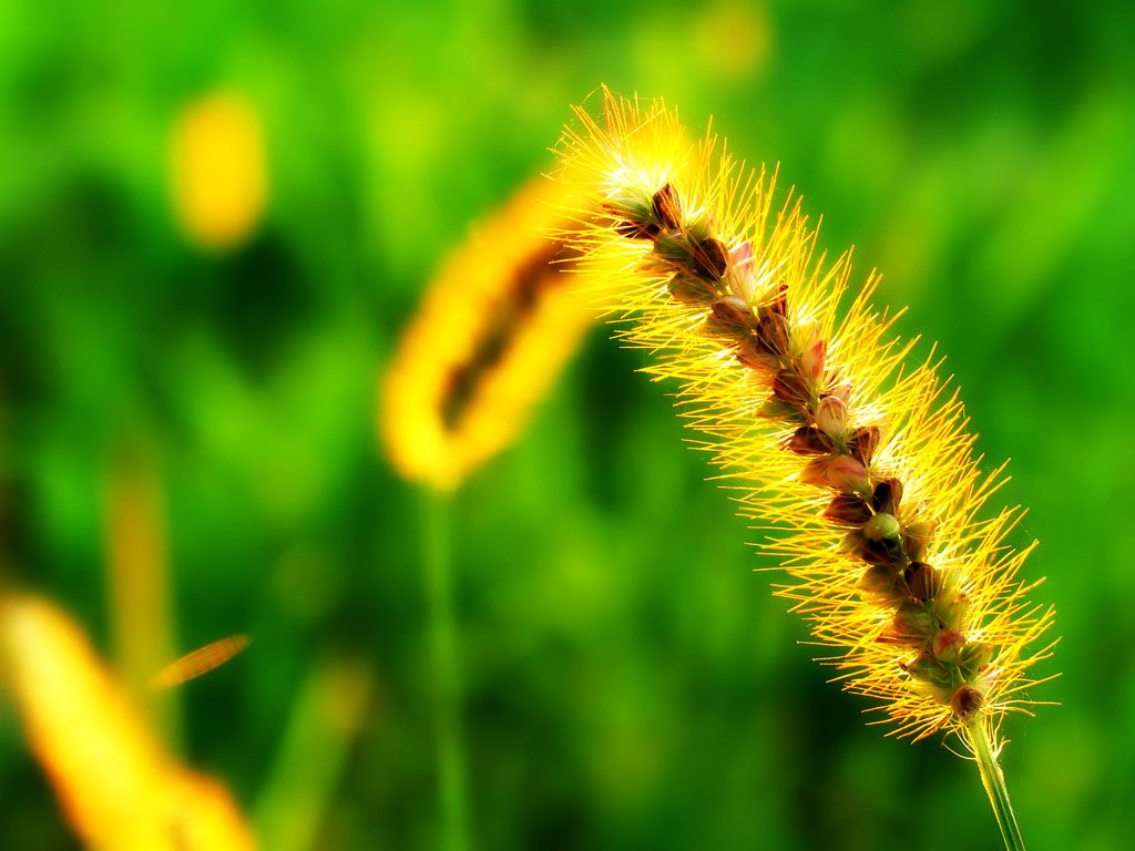 ������������µĺ���